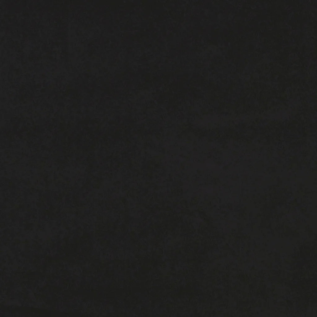 Noah | Velvet Dining Chairs with Padded Backrest